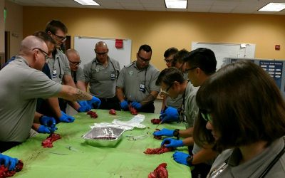 Southern Manatee Fire Rescue District Personnel Learning Emergency Cricothyrotomy Procedures in Paramedic School